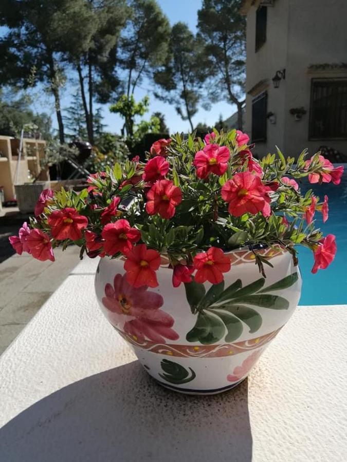 Bed & Breakfast Casa Jetizo *